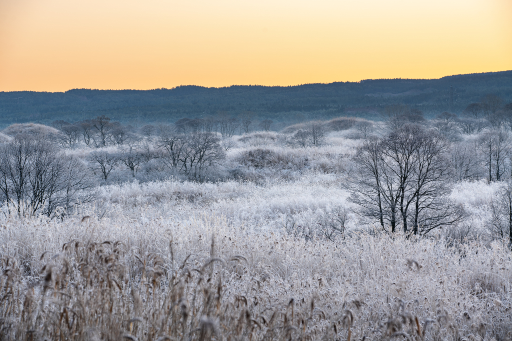 White scenery