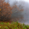 Thick Fog