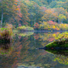 Pond in the mountains