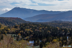 Autumn scene