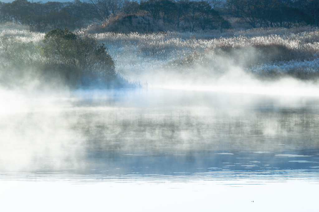 Early winter