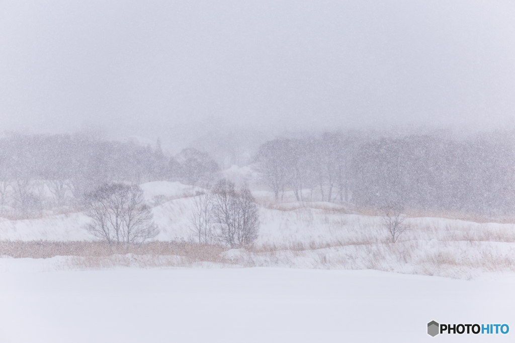 Snow scene