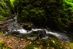 mountain stream