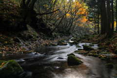 Late autumn light