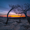 Daybreak