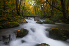 In Autumn