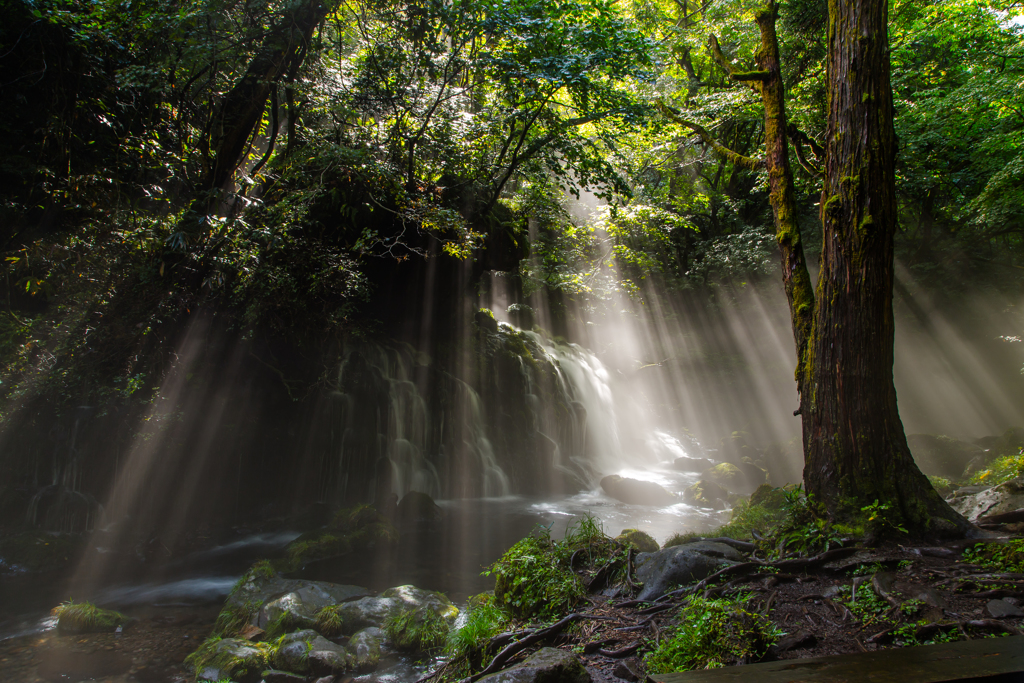 Light falling down