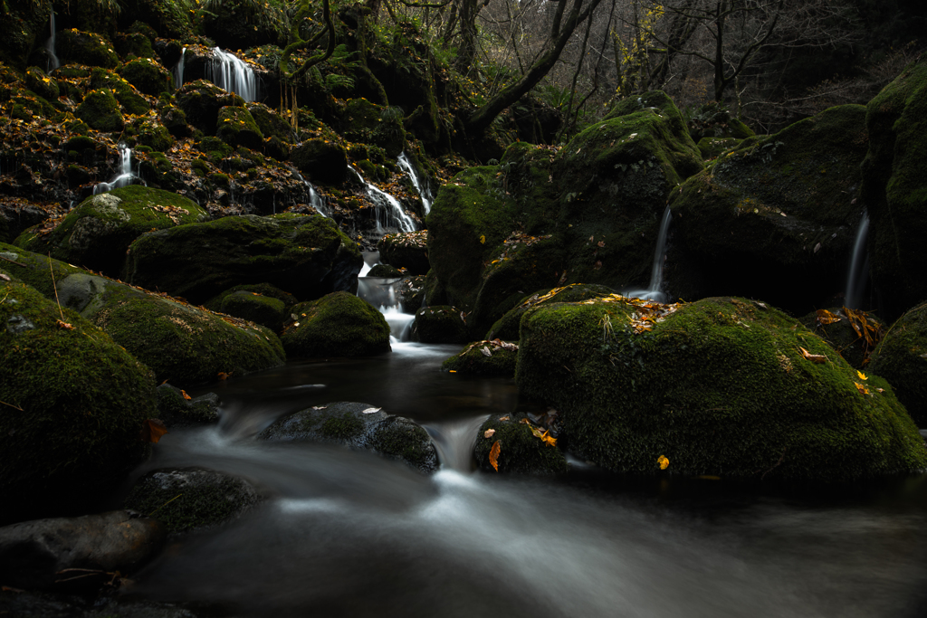 Late autumn