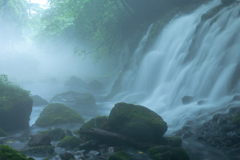Summer fog