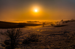 Morning mist