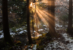 Morning light