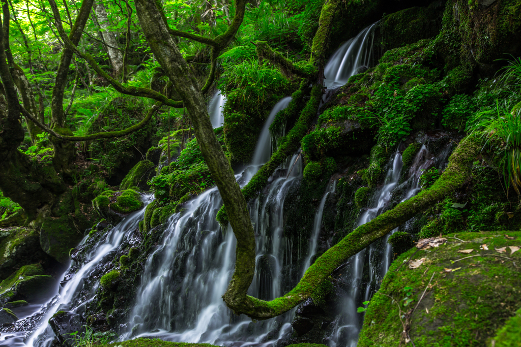 Moss Falls
