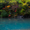 coloration