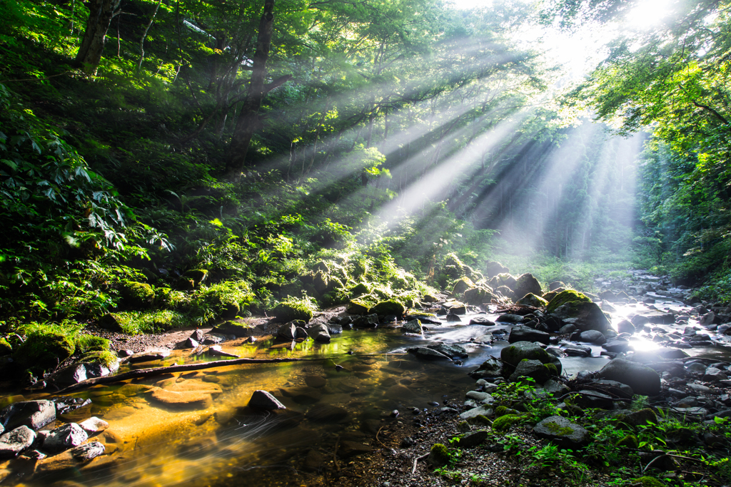 Light falls