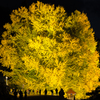 Big yellow