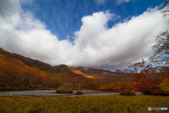 Autumn of the pond