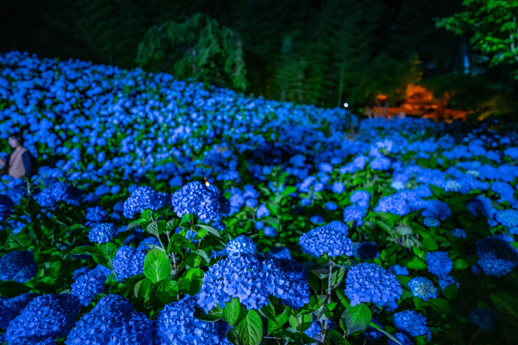 Night temple