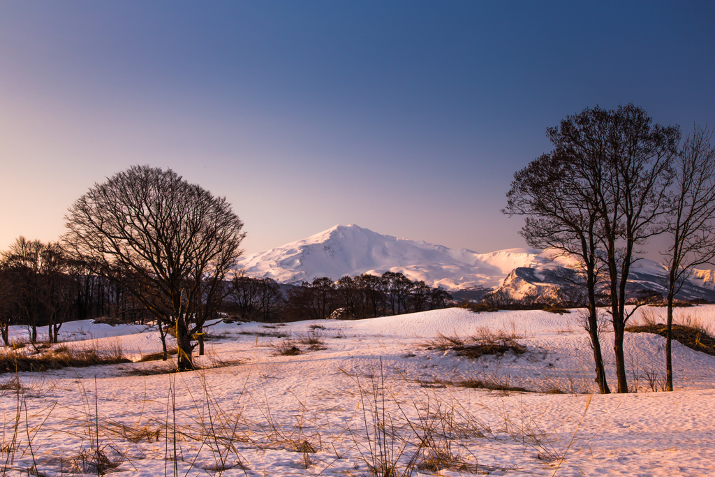 Morning snowy field