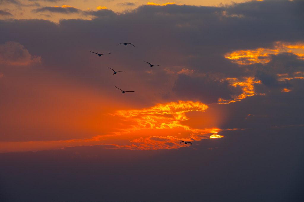 Sunset