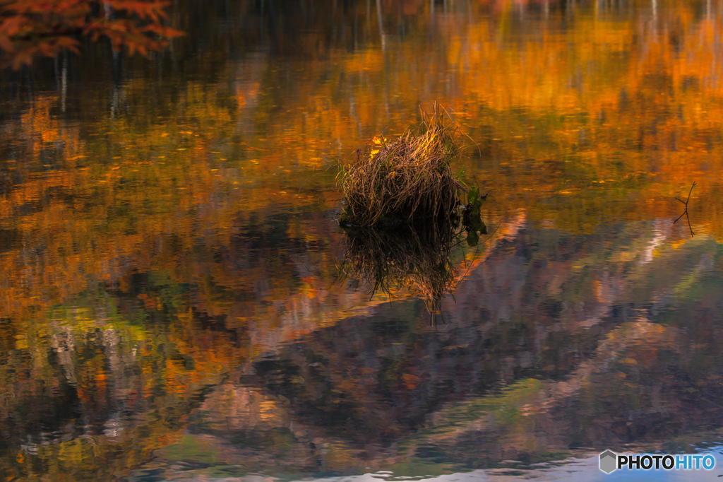 Autumn mirror