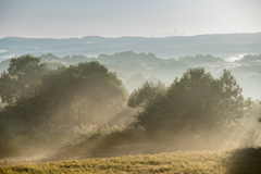 Autumn morning