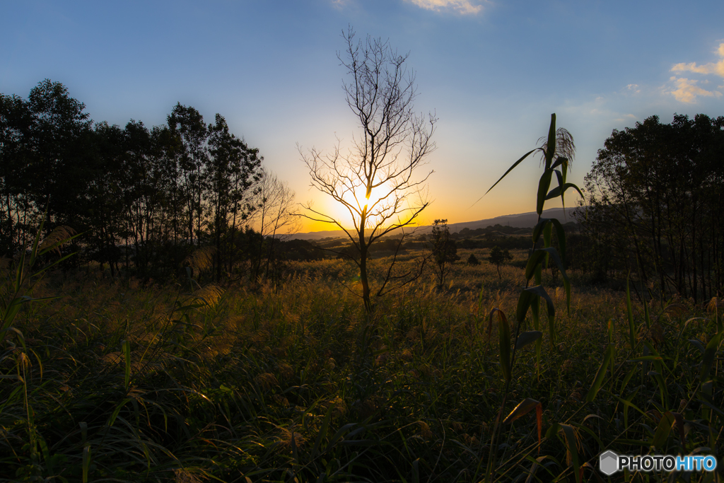 In the morning 〜 Toushi