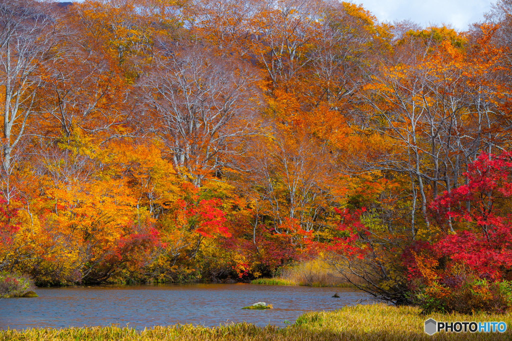 In autumn ～ Turumaike 3