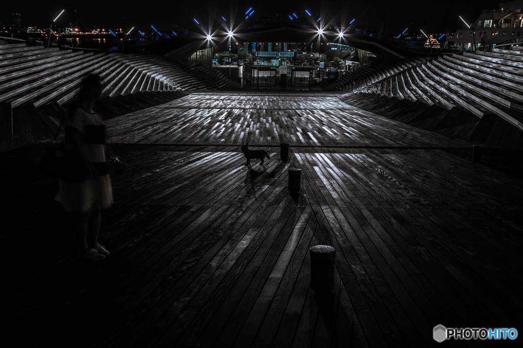 Yokohama Night 2
