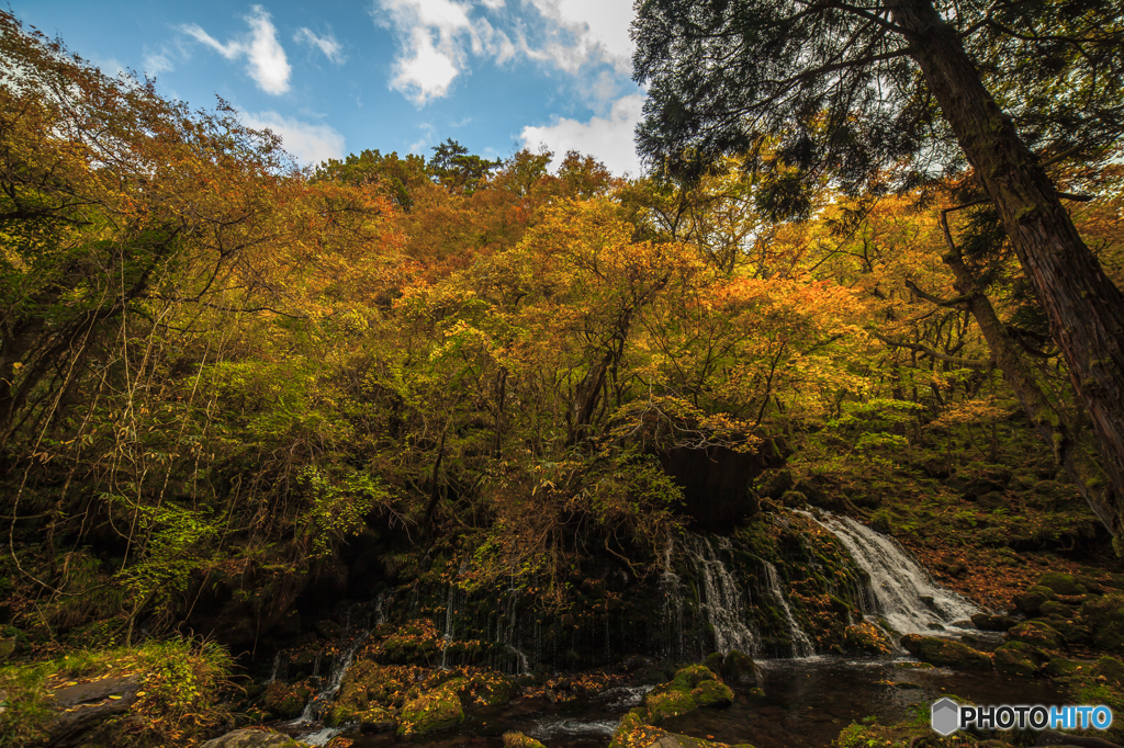 Autumnal landscape ~ Mototaki