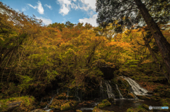 Autumnal landscape ~ Mototaki