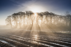 Rays of light