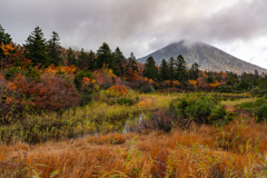 Autumn view