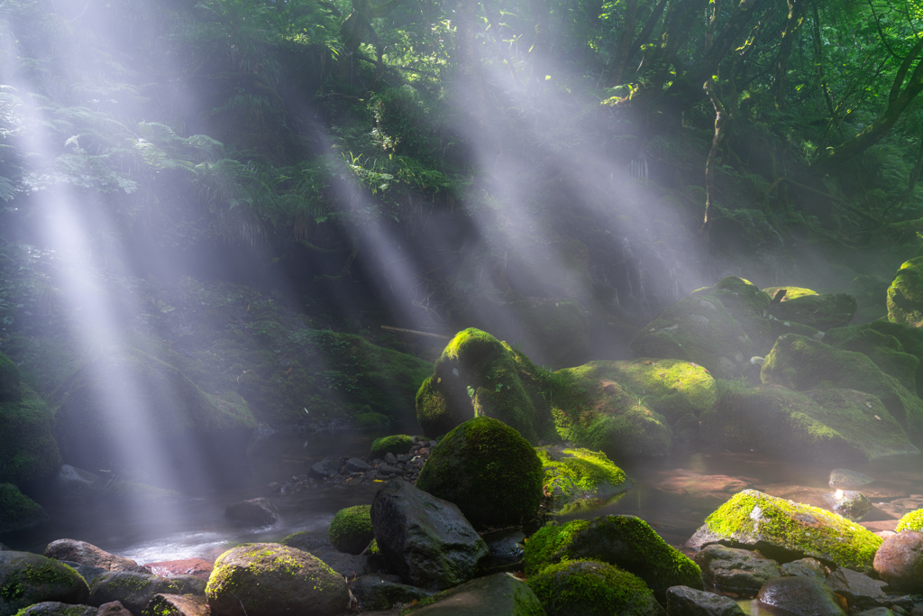 Shining light
