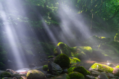 Shining light