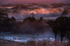 Daybreak