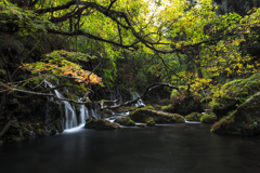 Autumn　Mototaki