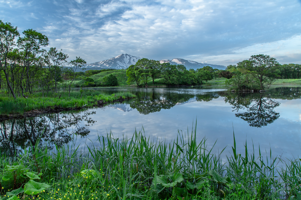 Spring morning Mt.cyoukai 2