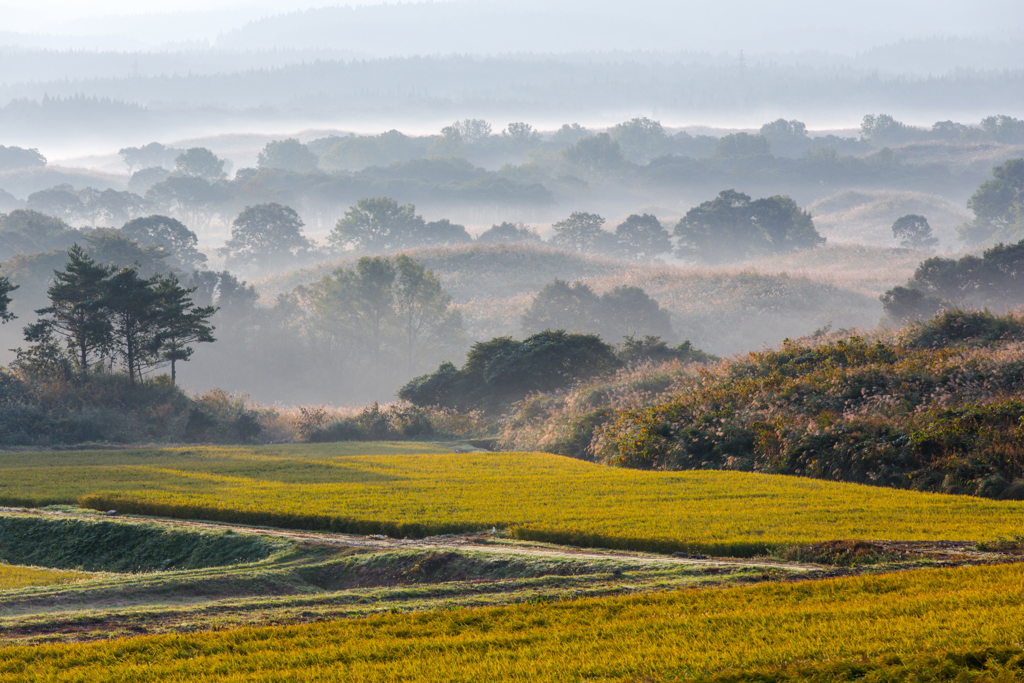 Autumn morning