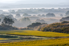 Autumn morning
