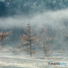 Morning mist ~ Toushi