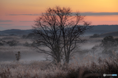 Autumn early morning ~ Toushi Last year