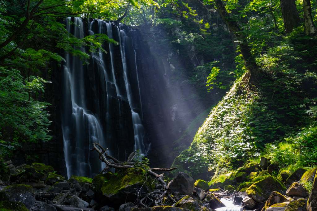 Morning light 