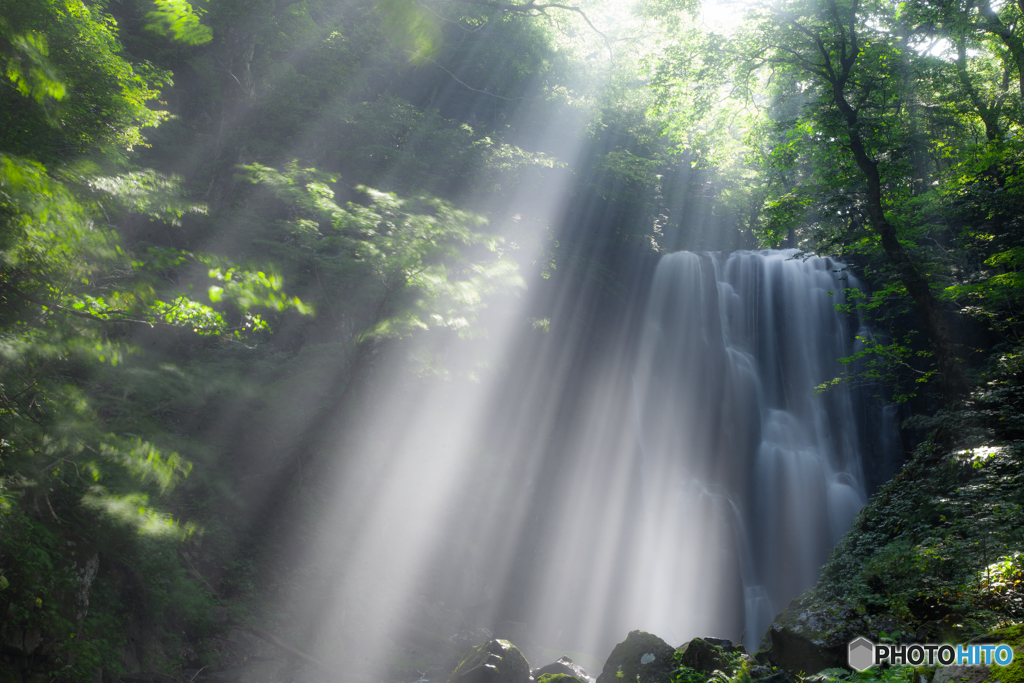 Shower of the light ２
