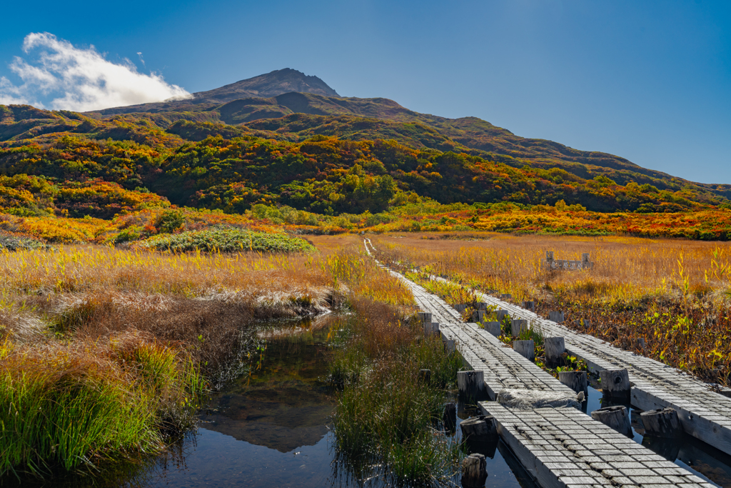 autumn colors