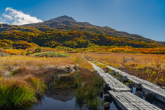 autumn colors