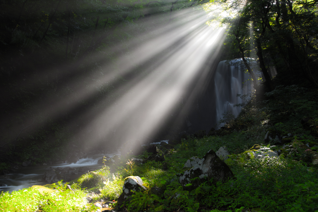 Morning waterfall