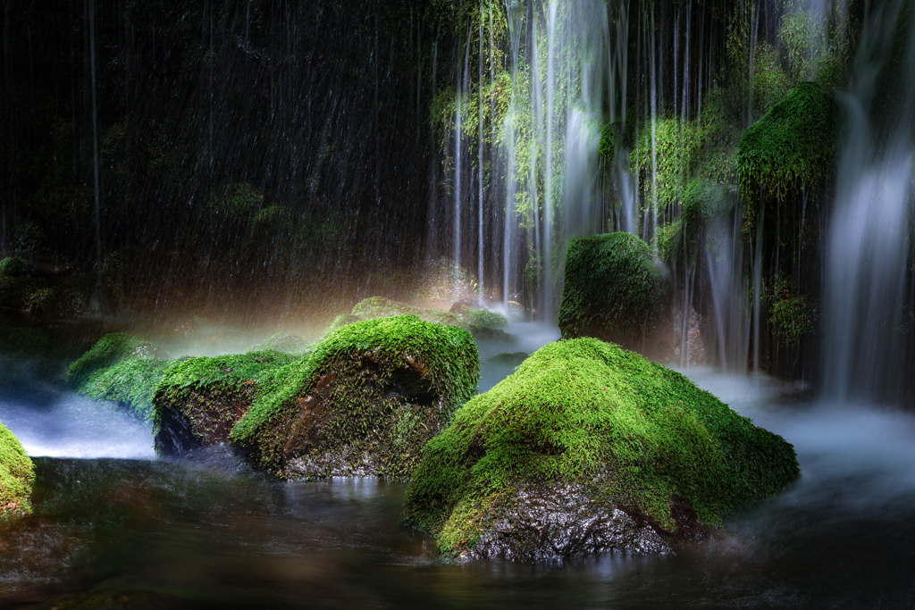 Rainbow moss