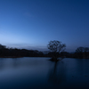 Blue tone
