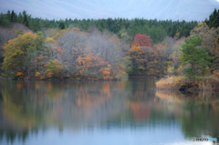 Autumn early morning ~ Toushi ３