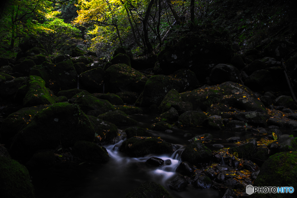 Light and shadow